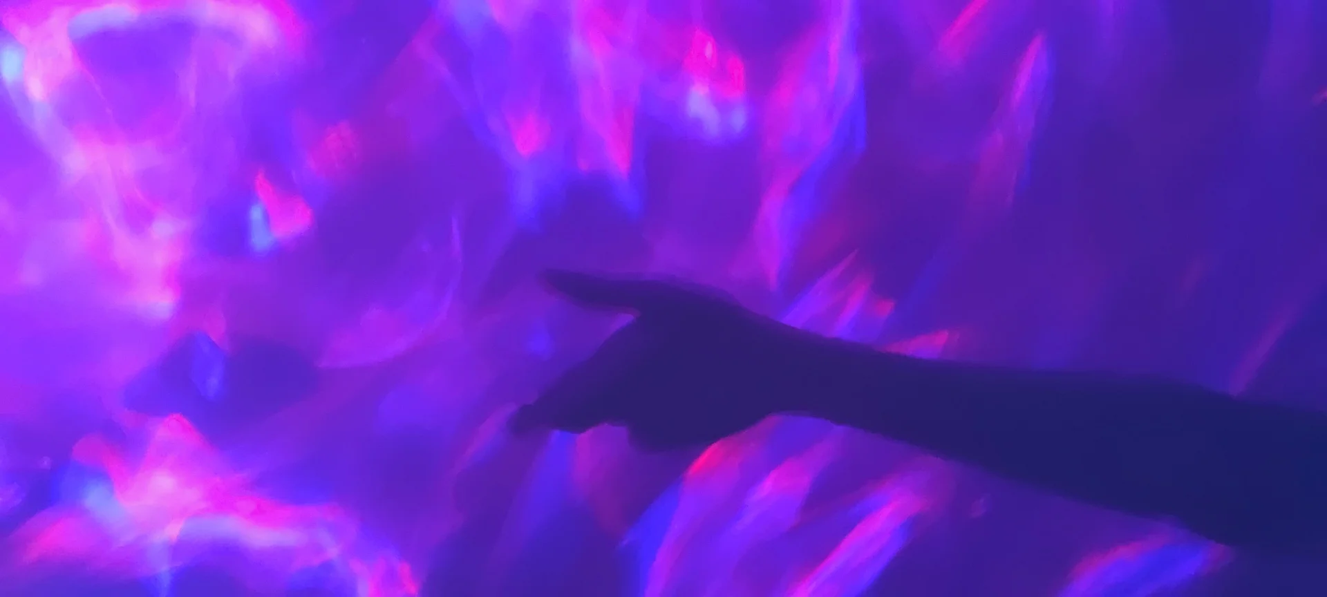 Diplomatic - Photo 1