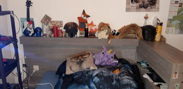 foxikx69: Public ( 4 фото)