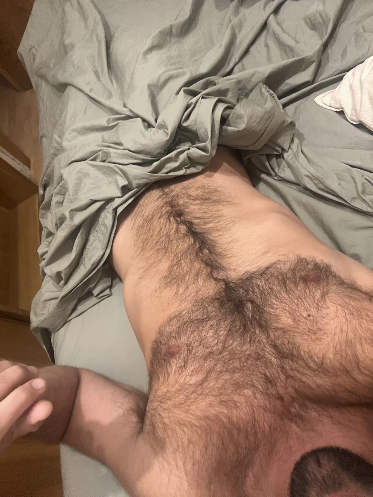 TeddyBearXX Trendy obrázky 4475