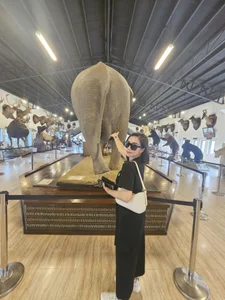 sangkissed92 Public Foto 3