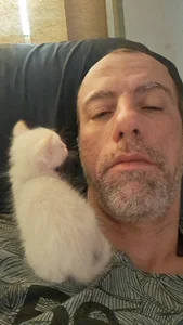 pedropintobom Public Immagine  2