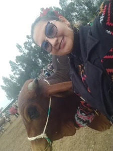 CATALEYA_SEXI Public slika 6