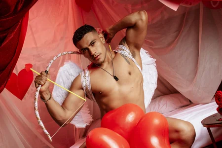 WillSandler Valentine's Day slika