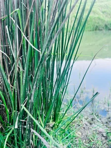 Aaron_ForddCome and enjoy nature with me 🌿图片 5