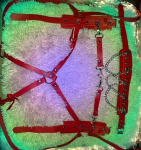 sara_goodgirl13 MY TOYS AND BDSM KIT Pic 4