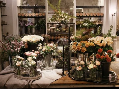 Gatomoney Public 圖片 3