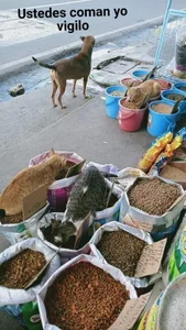 luving75 Recuerdos Foto