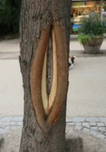 lianablossom Public Pic