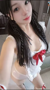野猫