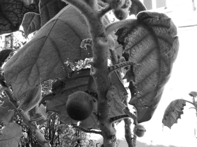 artistic photos of my city de Soulsuccubus Foto 4