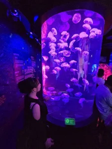 Emily-NguyenのMemories in Bangkok, Thailandの 2枚の写真