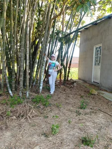 Chanelll_Taylorr_ kullanıcısının Enjoying nature and outdoors albümü -  4 fotoğraf