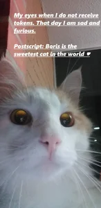 claryssa_ Public 사진 2