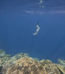 In Love With Life de Chloe_Richardson  7 Imagens