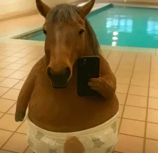 Cililike Public Foto 9