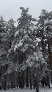 SelenaBlumX Lady Snow Foto 6