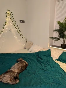 Alicia_x_art Resia🐈 Pic 3