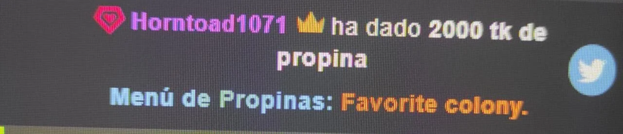 My birthday gifts od XXMILE  3 snímek