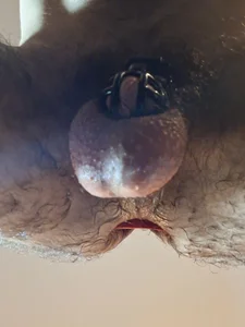 Showing my stuffed hole and my cock in cage de Elias_la_salace  5 Imagens