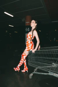 VeronicaVancesのDo Not Crossの 4枚の写真