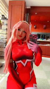 LadyAkumuのZero two (つ.と)の 8枚の写真