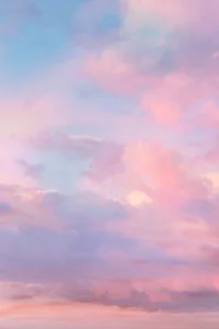 RINO_chaのPublicの枚の写真