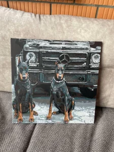 Zdjęcia Lasly_Fox my paintings😎:  5