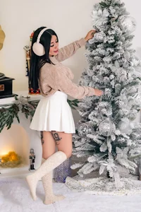 JulessCornett Xmas set Billede