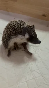 CassJonn Public Pic 2