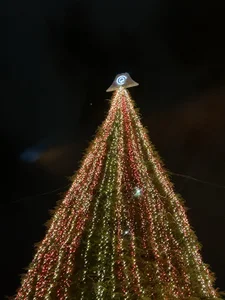 mari_tan_ch ごはん♪ Pic 5