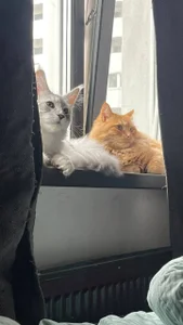 Lana__May Public รูป  5