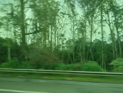 KatSyf kullanıcısının Public albümü -  5 fotoğraf