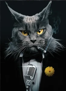 ALi_084のPublicの 6枚の写真