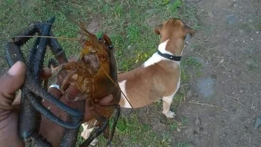 justfifun Just me Pic 5