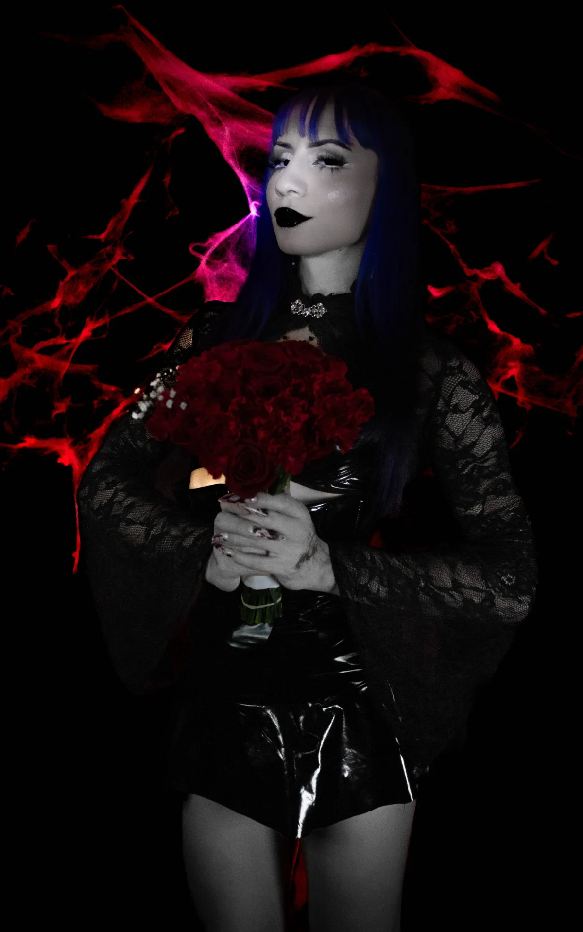 Draculairis Populært foto 4018