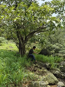 yung_cplzPublic图片 8