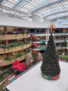 Nahiajhonson_ Medellin Pic 5