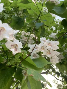 ameli_moon Sunny mood☀️ Pic