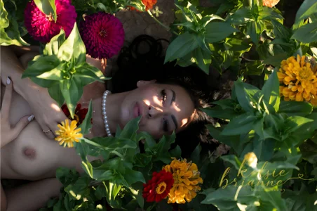 Public de annablisss  6 Imagens