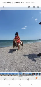 Lissabeta Mamaie beach 2022 Bilde 3