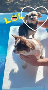 Divinna ❤️ MY BEST FRIENDS ❤️AKIK MINDÍG BELEUGATNAK AZ ÉLŐBE ❤️ Bilde 9