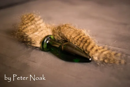 PeterNoak Public Pic 2