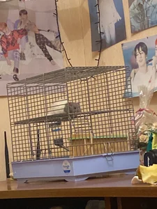 My pets✨ od SugarMuse  6 snímek