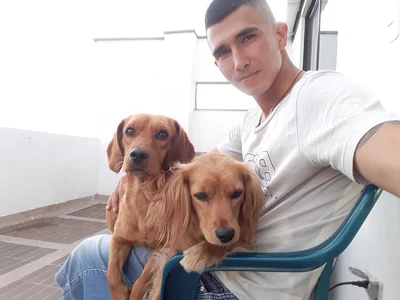 Yeisonfeli Nova Star Poză 4