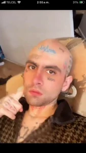 delidemente333 Public  2. fénykép