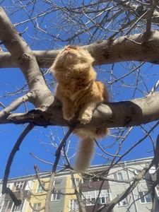 NastyushaaLove me and my beloved Evrik😼 Pic 8