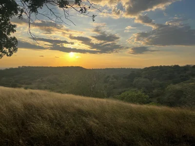 Erelisstrip just me Foto 3