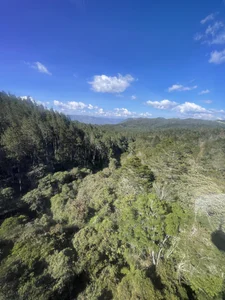 AnushaKumari Public Pic 3