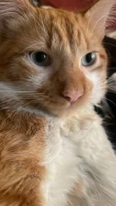 Public de 21Sweetkitty  Imagens