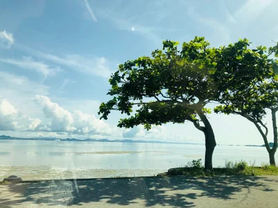 MIOoox_ Public Pic 2